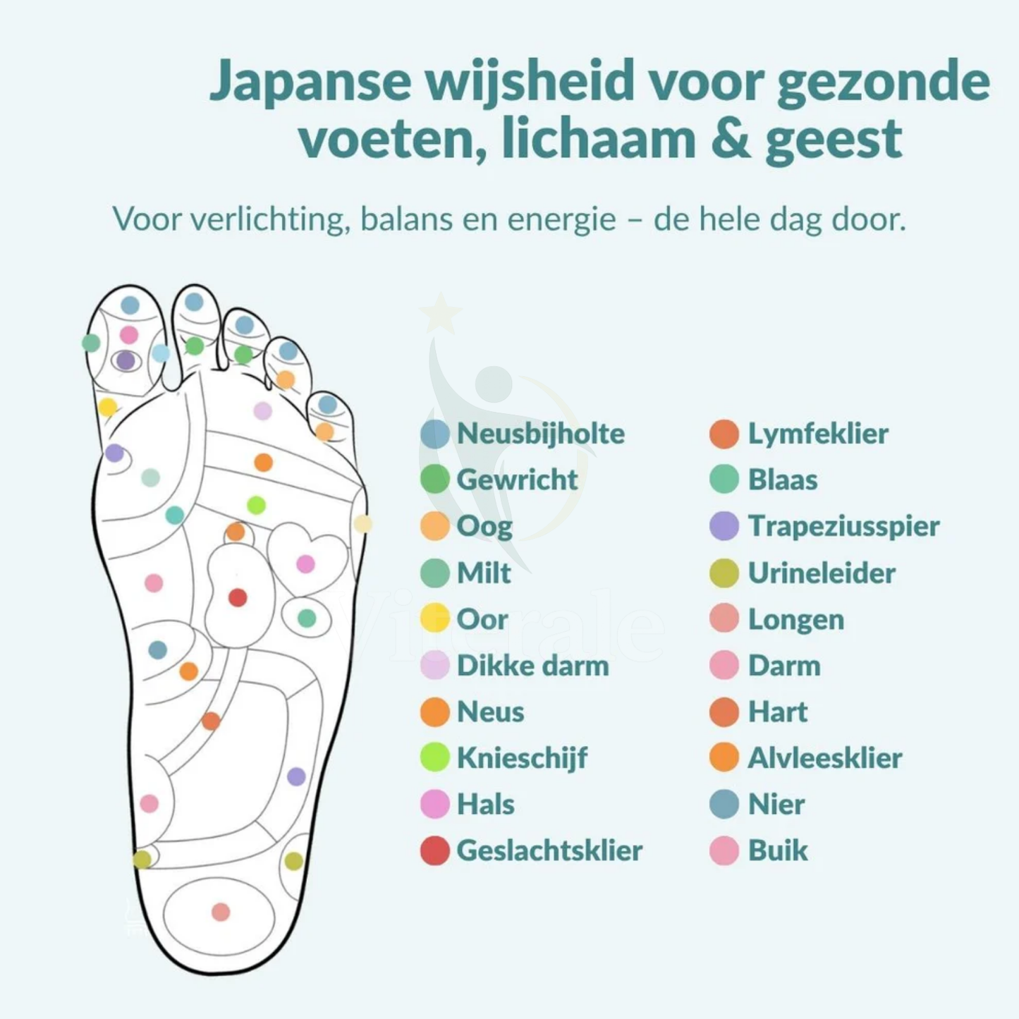 FootEase™ Magnetische Inlegzool